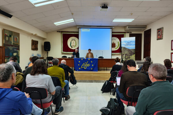 IMG_20231110_090734b